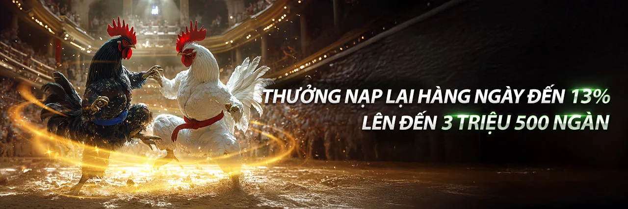 Hình ảnh tổng quan về Điều khoản và Điều kiện của You88